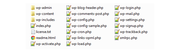 WordPress Directory Structure