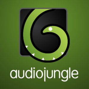 Put the Good Stuff In - Download Audiojungle 10967778