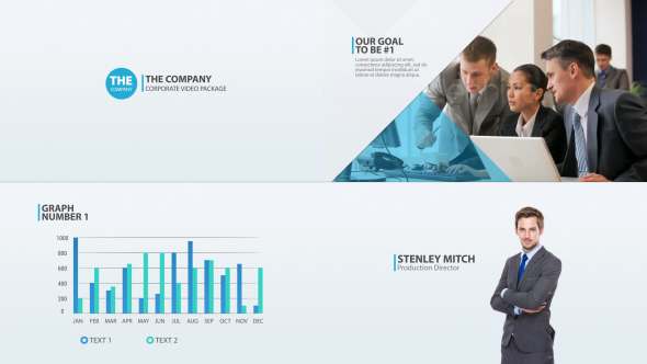 The Company - Corporate Video Package Download - Videohive 14461038