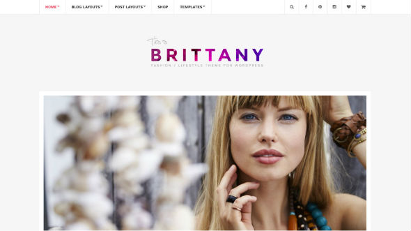 CssIgniter Brittany - Download Blogging Theme WordPress
