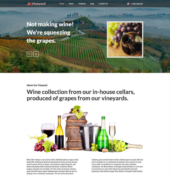 HotJoomlaTemplates Vineyard - Download Responsive Wine Joomla Template