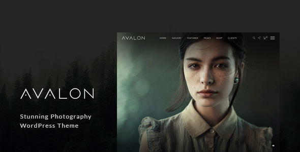 ThemeForest Avalon - Download Photography and Portfolio WordPress Theme for Photographers