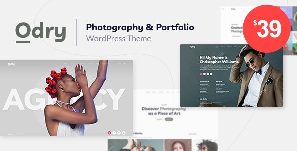 ThemeForest Odry - Download Photography Theme for WordPress