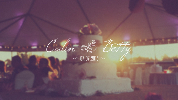 30 Wedding Titles - Download Videohive 11861477