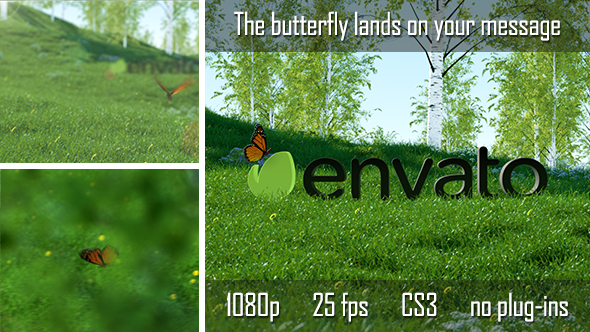 Butterfly Logo Reveal - Download Videohive 6735223