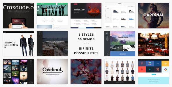 Cardinal v1.90 – Themeforest Premium WordPress Theme Download Free