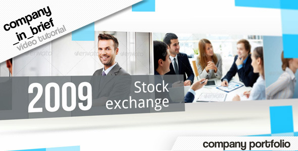 Company in Brief - Download Videohive 6265239