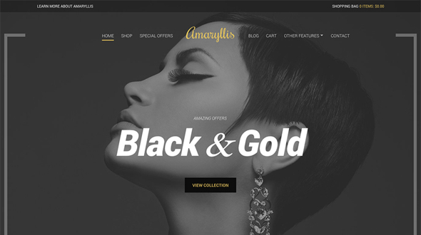 CssIgniter Amaryllis - Download Woocommerce WordPress Theme