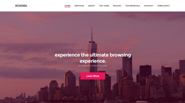 CssIgniter Roxima - Download Business WordPress Theme