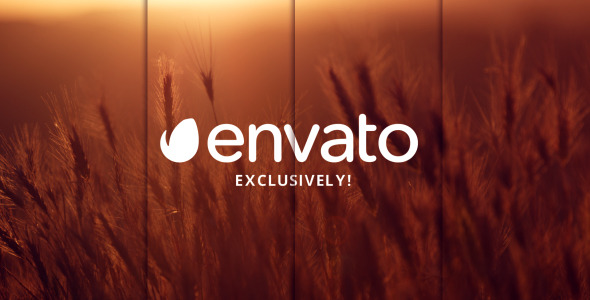 Elegant Slideshow - Download Videohive 11884423