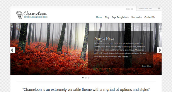 ElegantThemes Chameleon Download WordPress Theme