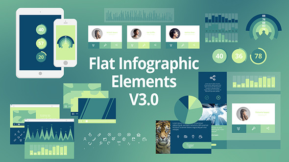 Flat Infographic Elements V30 - Download Videohive 8498708