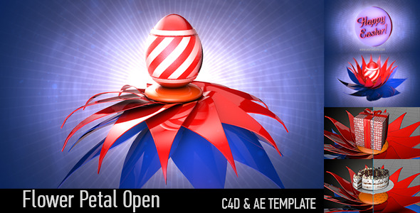 Flower Petal Open - Download Videohive 6856961