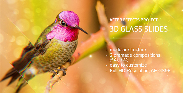 Glass Slides 3D - Download Videohive 13107744