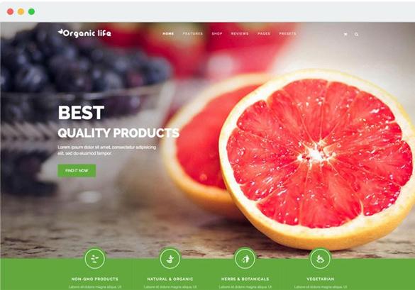 JS Organic Life - Download Eco-Friendly Businesses & e-Commerce Joomla Template 
