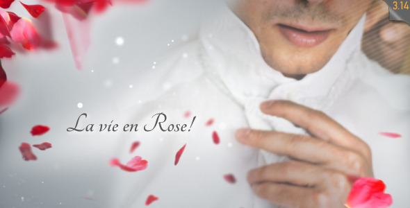 La Vie en Rose - Wedding template - Download Videohive 542940