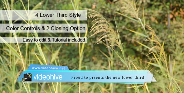 Lower Third - Download Videohive 5768490