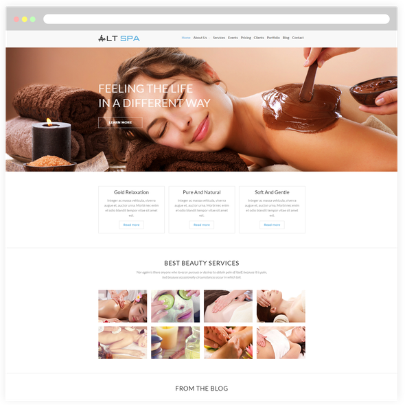 LT Spa Pro - Download Beauty WordPress theme