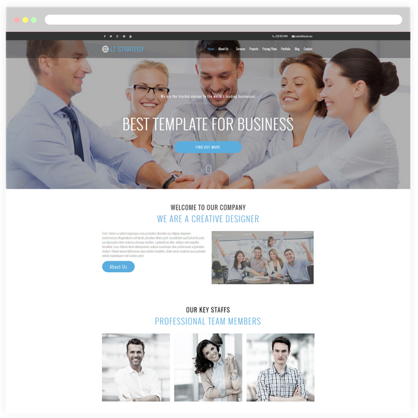 LT Strategy Pro - Download Creative WordPress theme