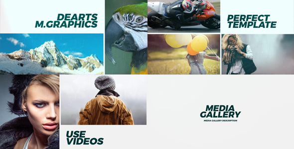 Media Gallery - Download Videohive 16396071