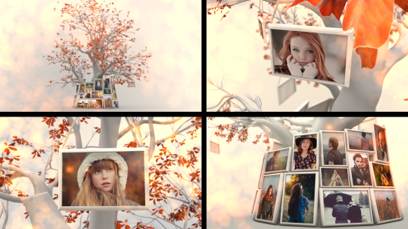 Memory Tree Slideshow - Download Videohive 16669180