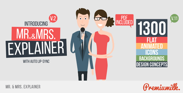 MrandMrs Explainer - Download Videohive 15218209