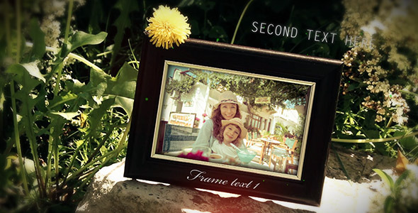 Photo Frame Gallery - Download Videohive 7758218