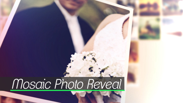 Photo Reveal - Download Videohive 11419150