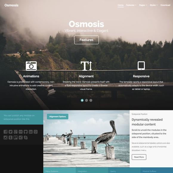 RocketTheme Osmosis - Download Joomla Responsive Template