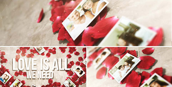 Rose Petals Heart - Photo Gallery - Download Videohive 5315746