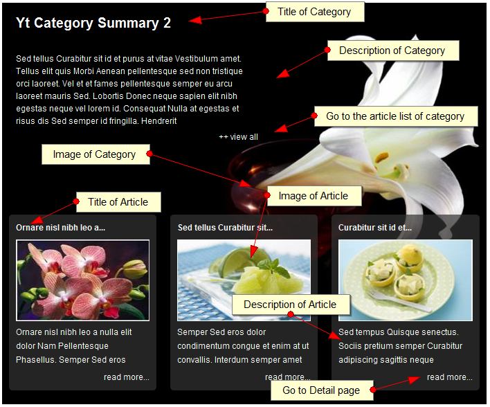 SJ Sobi2 Category Summary - Download Joomla! Module