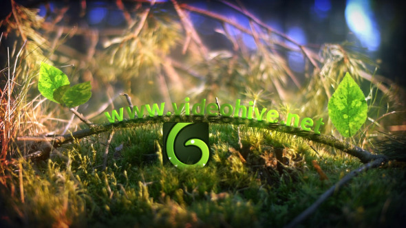 Spring Leaves Logo - Download Videohive 10984145