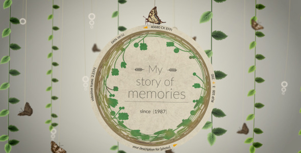 Story of Memories - Download Videohive 11093896