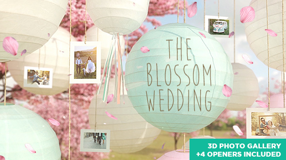 The Blossom Wedding - Photo Gallery Slideshow - Download Videohive 14669458