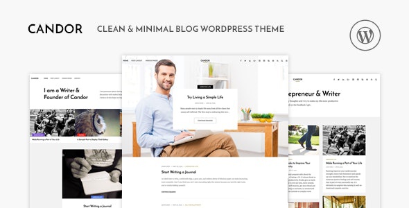 ThemeForest Candor - Download Responsive WordPress Blog Theme