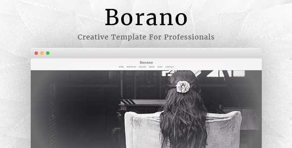 ThemeForest Borano - Download Photography / Portfolio WordPress Theme