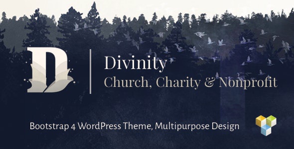 ThemeForest Divinity - Download Church, Nonprofit & Charity Events WordPress Theme
