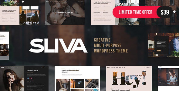 ThemeForest Sliva - Download Responsive Multi-Purpose WordPress Theme