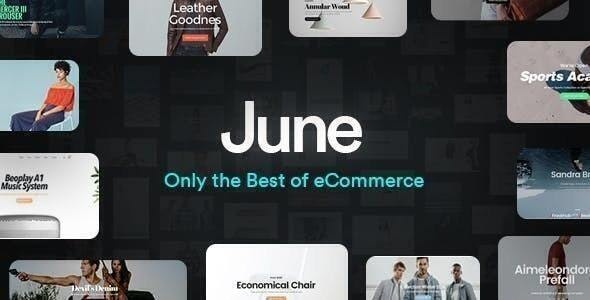 ThemeForest June - Download WooCommerce WordPress Theme