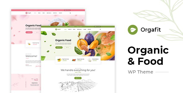 ThemeForest OrgaFit - Download Organic and Health WordPress Theme