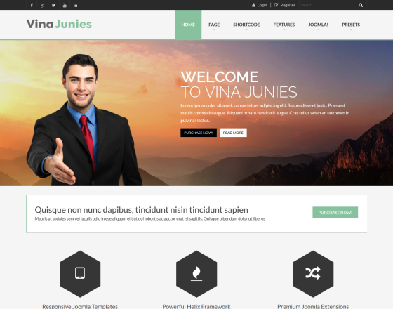 VinaGecko Junies - Download Responsive Corporate Joomla Template