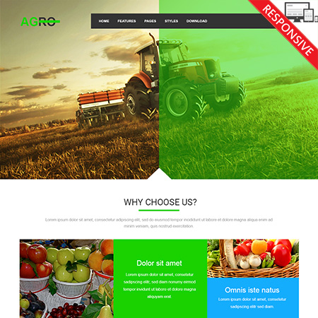 VTEM Agro - Download Responsive Joomla Template