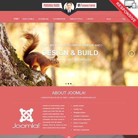 VTEM Personal - Download Responsive Joomla Template