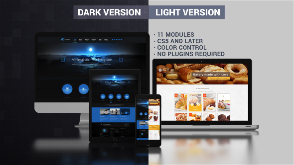 Website Presentation (Dark and Light) - Download Videohive 9725975