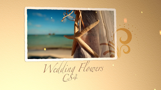 Wedding Flowers CS4 - Download Videohive 309125