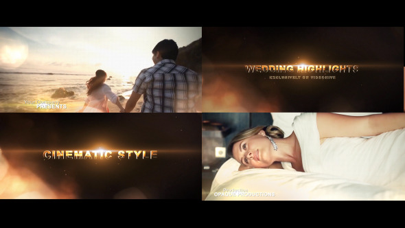 Wedding Highlights - Trailer - Download Videohive 6903959