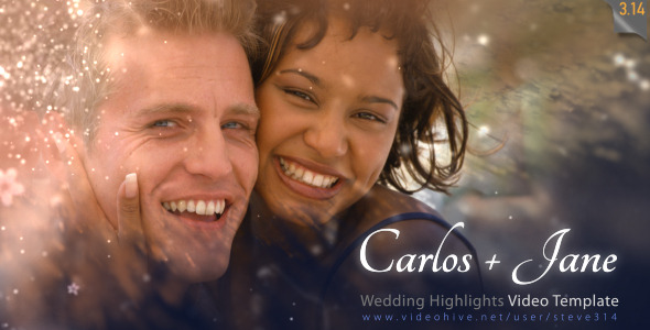 Wedding Highlights - Video Template - Download Videohive 6679531