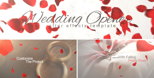 Wedding Opener - Download Videohive 10137243