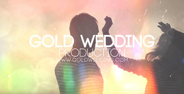 Wedding Production - Download Videohive 10024112