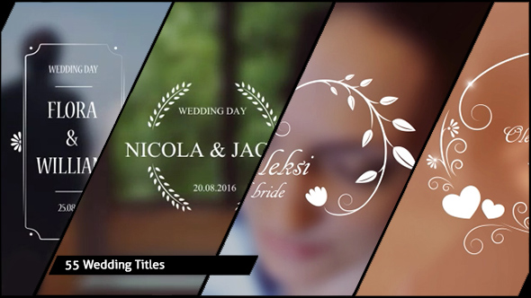 Wedding Titles - Download Videohive 17267979